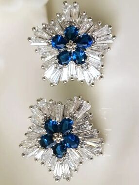 Blue & White Snowflake Earrings.